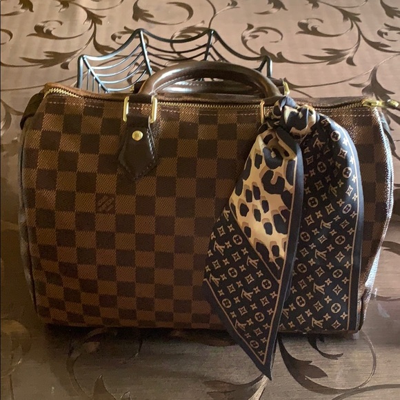 Louis Vuitton Handbags - Gorgeous Louis Vuitton speedy 30 damier ebene bag